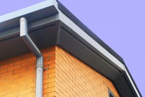 Box Gutters and Downpipe